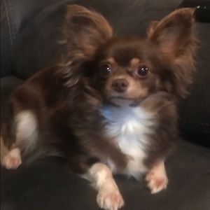 Meet your Posher, Alonda